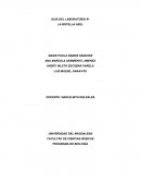 GUÍA DEL LABORATORIO #1 LA BOTELLA AZUL