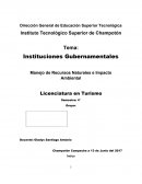 Instituciones Gubernamentales Manejo de Recursos Naturales e Impacto Ambiental