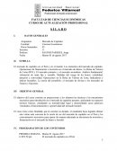 CURSO DE ACTUALIZACIÓN PROFESIONAL S I L A B O