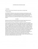 DETERMINACION DE PESOS MOLECULARES