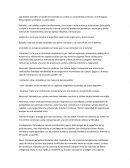 Los tejidos animales se clasifican teniendo en cuenta sus caracteristicas fisicas y morfologicas