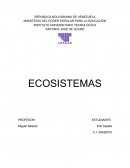 CLASIFICACIÓN DE ECOSISTEMAS Flujo de Energía