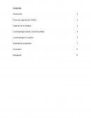 Formas de organización político, poder y control social