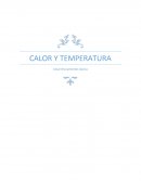 CALOR Y TEMPERATURA. El calor es un tipo de energía que se transmite