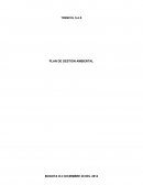 TREMCOL S.A.S PLAN DE GESTION AMBIENTAL