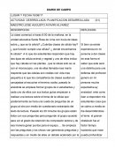 Actividad desrrollada: planificacion desarrollada