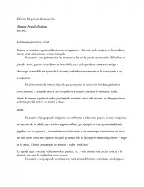 Informe del período de desarrollo. Página 1