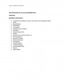 Recuperación de células espermáticas: Guía práctica