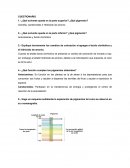 Cromatografía en papel cuestionario