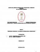 XXX Curso básico del derecho internacional humanitario y derecho internacional de los derechos humanos