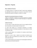 Diagnostico – Preguntas Robo o falsificación financiera