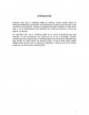 Podemos decir que el marketing digital es introducir nuevas marcas dentro de diferentes plataformas