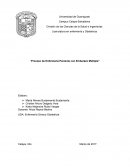 Proceso de Enfermería Paciente con Embarazo Múltiple