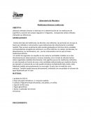 Laboratorio de Mecánica