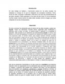 Artes Visuales, Escala