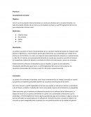 Practica 6 Levantamiento de Canal