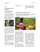 Política La arquidiócesis critica la inseguridad