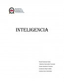 Inteligencia. Factores de inteligencia