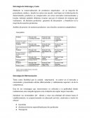 Estrategia de Liderazgo y Costo