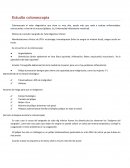 Estudio colonoscopia