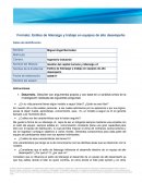 Formato: Estilos de liderazgo y trabajo en equipos de alto desempeño