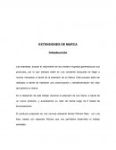 Extensiones de marca. La cerveza Artesanal