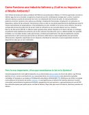 Como Funciona una Industria Salinera y ¿Cuál es su Impacto en el Medio Ambiente?