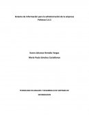 Sistema de información para la administración de la empresa Poltexas S.A.S