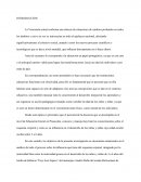 ESTRATEGIAS PARA EL DESARROLLO DEL ESQUEMA CORPORAL