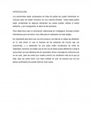 Efectos en el ambiente y en la salud humana