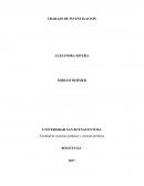 Influencia del consumo excesivo al desarrollo del Calentamiento global
