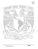 CONCEPTO, CARÁCTERÍSTICAS Y CAMPOS DE APLICACIÓN DE LA INGENIERÍA FINANCIERA