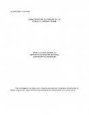 CARACTERÍSTICAS CULTURALES DE LOS TEJIDOS Y LA PRENDA “RUANA”