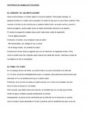 HISTORIAS DE ANIMALES CHILENOS EL CÓNDOR Y EL VALIENTE COLIBRÍ