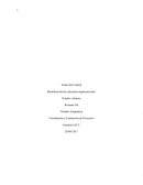 Identificación de estructura organizacional