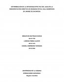 DETERMINACIÓN DE LA DIFUSIVIDAD EFECTIVA DEL AGUA EN LA DESHIDRATACIÓN OSMOTICA DE MANZANA ROYAL GALA SUMERGIDA EN JARABE DE SACAROSA.