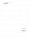 Mostrar la reacción de los elementos ante la solubilidad