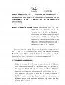 SEÑOR PRESIDENTE DE LA COMISIÓN DE PROTECCIÓN AL CONSUMIDOR DEL INSTITUTO NACIONAL DE DEFENSA DE LA COMPETENCIA Y DE LA PROTECCIÓN DE LA PROPIEDAD INTELECTUAL.
