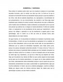 SUMMERHILL Y BARIBIANA