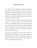 Como es un Ensayo de indicadores de gestiion