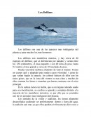 Los delfines son una de las especies mas inteligentes del planeta y para muchos los mas hermosos