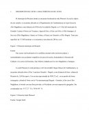 DESCRIPCIÓN DEL SITIO: CARACTERÍSTICAS DEL SITIO