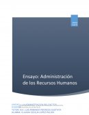 Se dará explicación a tres principales preguntas: Principios de Bioetica