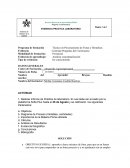 Realizar Informe de Práctica de laboratorio.