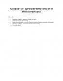Aplicación del comercio internacional en el ámbito empresarial