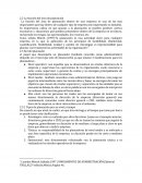 La función del área de planeación