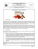 Procesamiento frutas y hortalizas