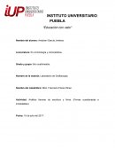 Practica de escritura y firma