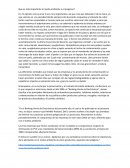 Que es más importante el medio ambiente o el progreso?