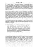 Ensayo sobre Raffesten